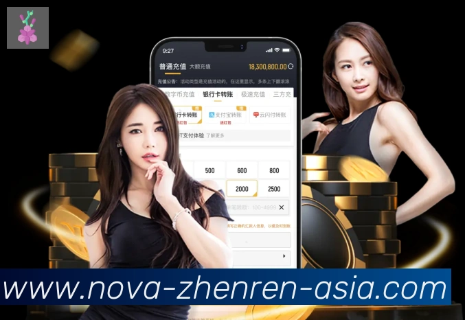 未来规划